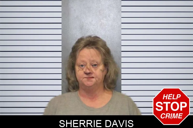 Sherrie Davis Mugshots