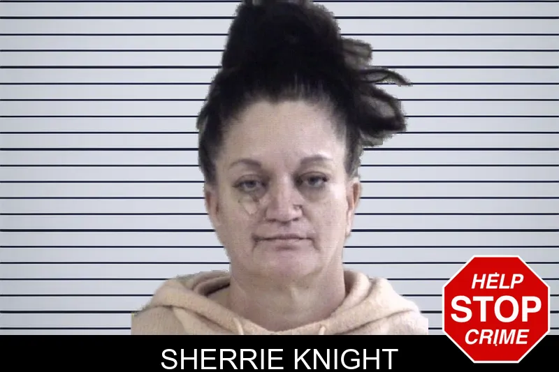 Sherrie Knight Mugshots
