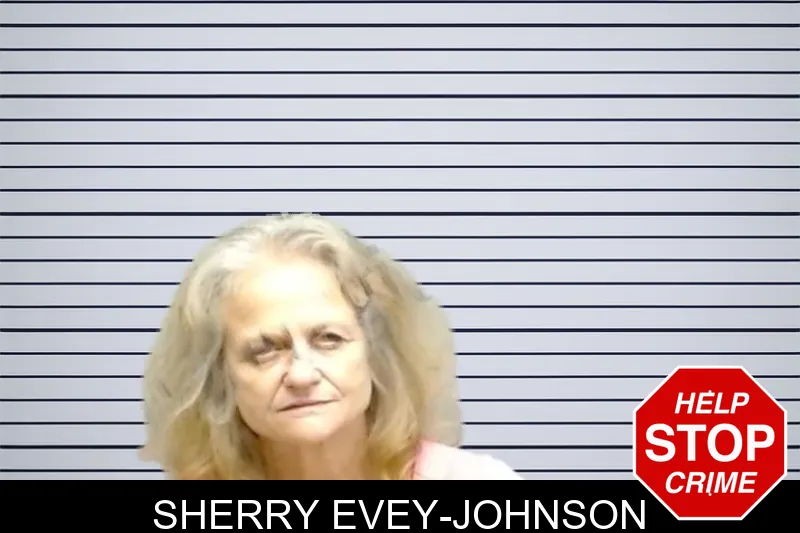 Sherry Evey-Johnson mugshot