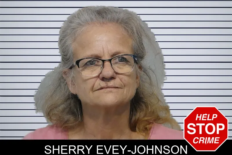 Sherry Evey-Johnson Mugshots
