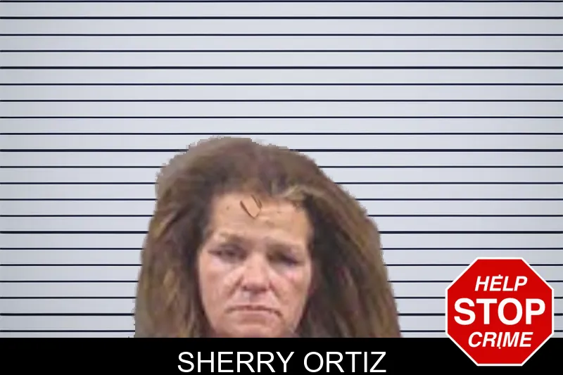 Sherry Ortiz Mugshots