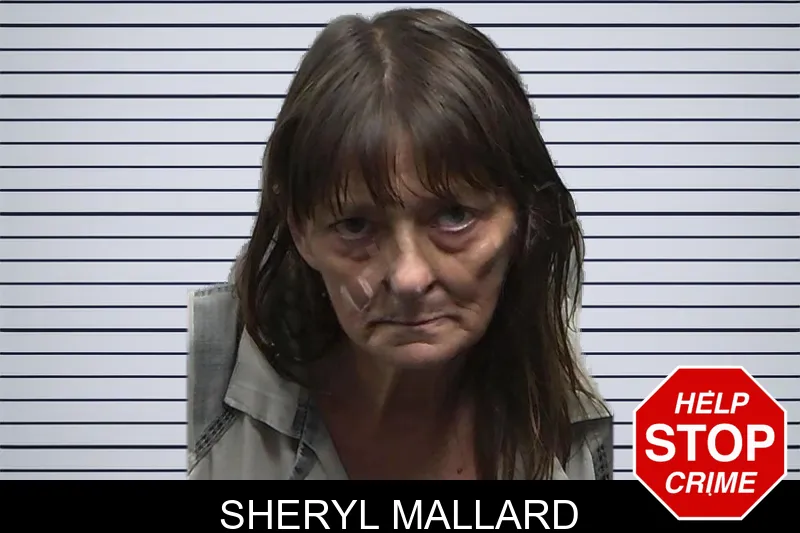 Sheryl Mallard Mugshots
