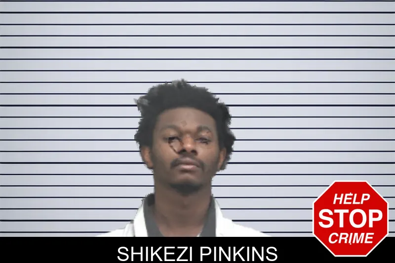 Shikezi Pinkins Mugshots