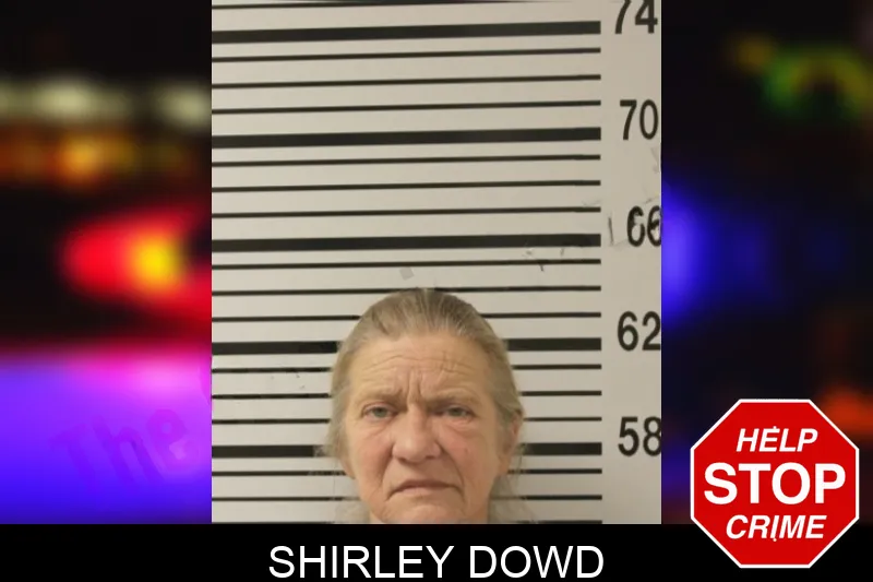 Shirley Dowd Mugshots