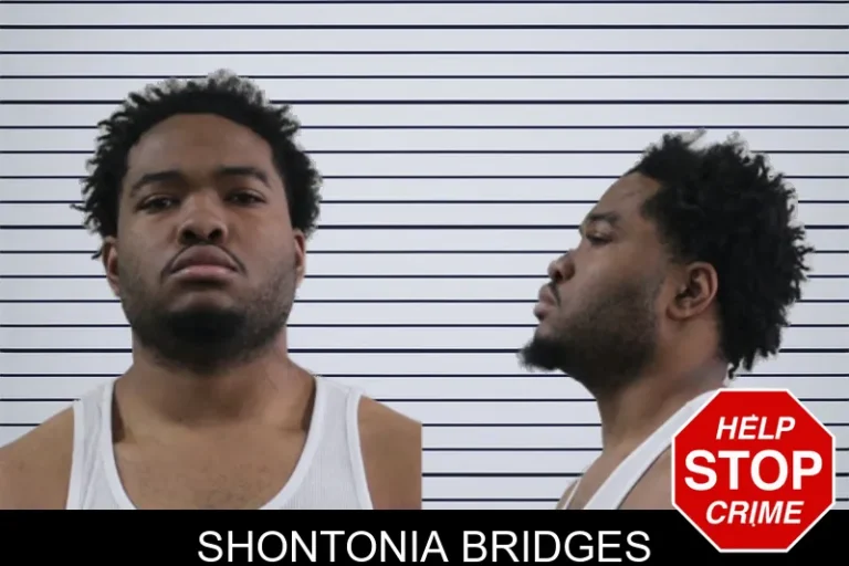 Shontonia Bridges