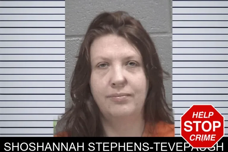 Shoshannah Stephens-Tevepaugh