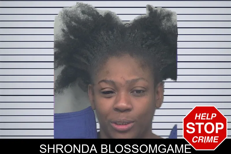 Shronda Blossomgame Mugshots