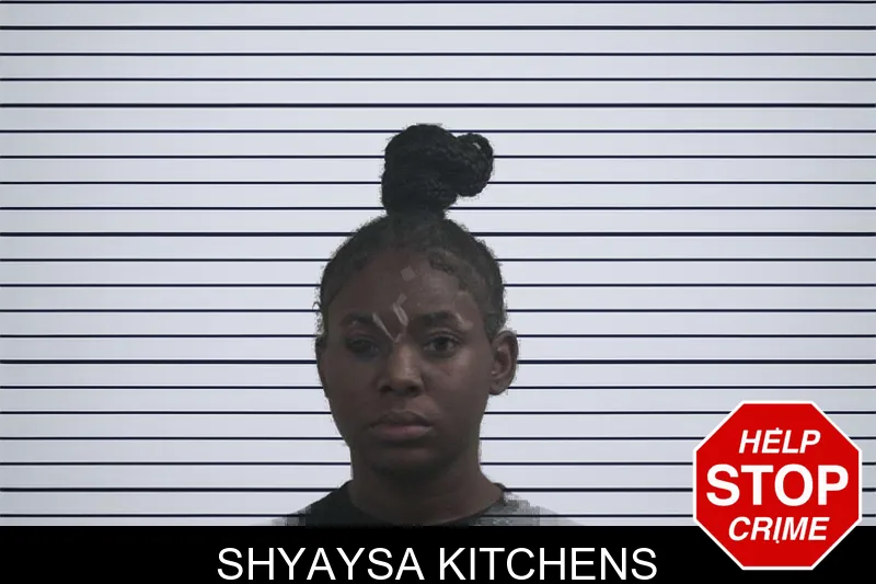 Shyaysa Kitchens Mugshots