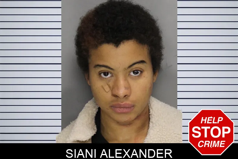 Siani Alexander Mugshots