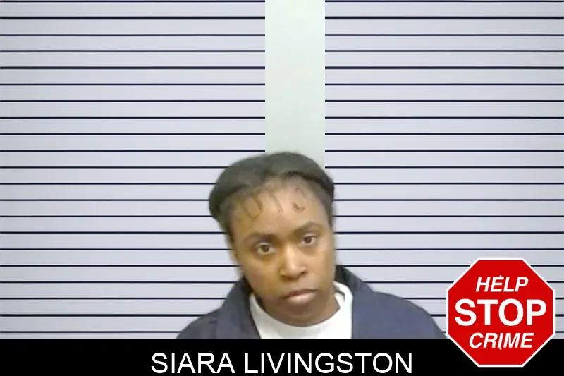 Siara Livingston mugshot