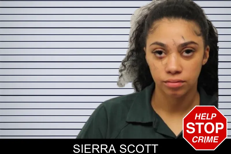 Sierra Scott mugshot