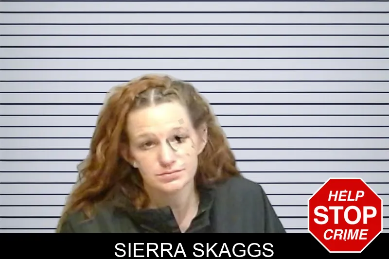 Sierra Skaggs mugshot