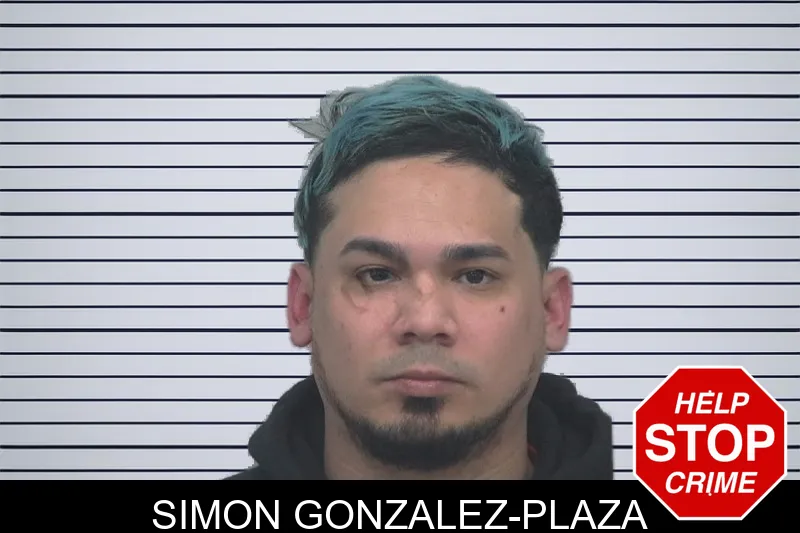 Simon Gonzalez-Plaza Mugshots