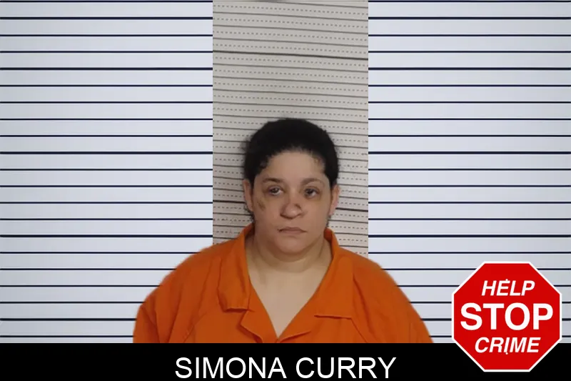 Simona Curry Mugshots