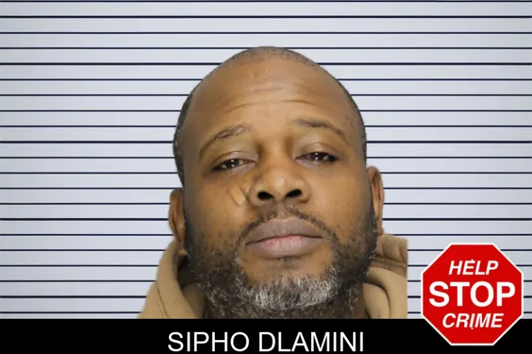 Sipho Dlamini mugshot – Cobb County , Georgia Sipho Dlamini