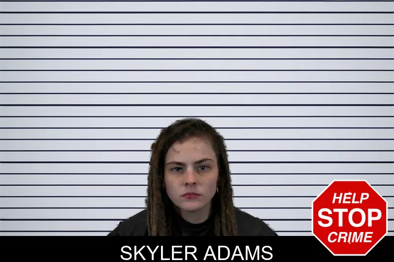 Skyler Adams mugshot – Hart County , Georgia Skyler Adams mugshot