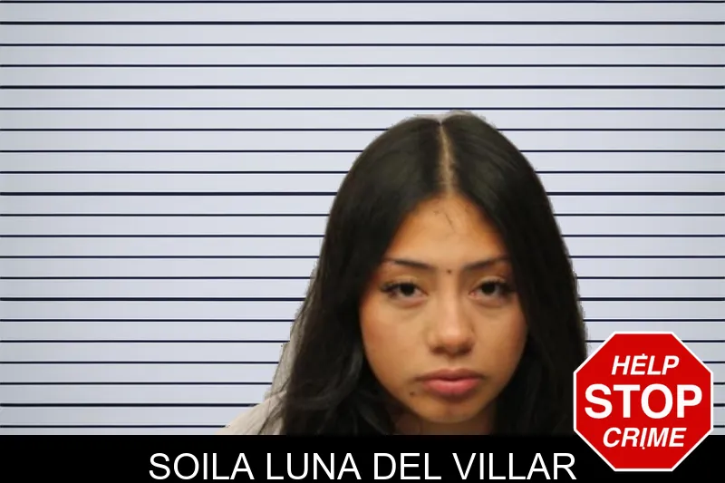 Soila Luna Del Villar Mugshots