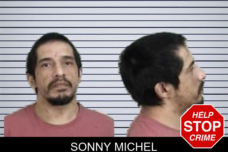 Sonny Michel mugshot