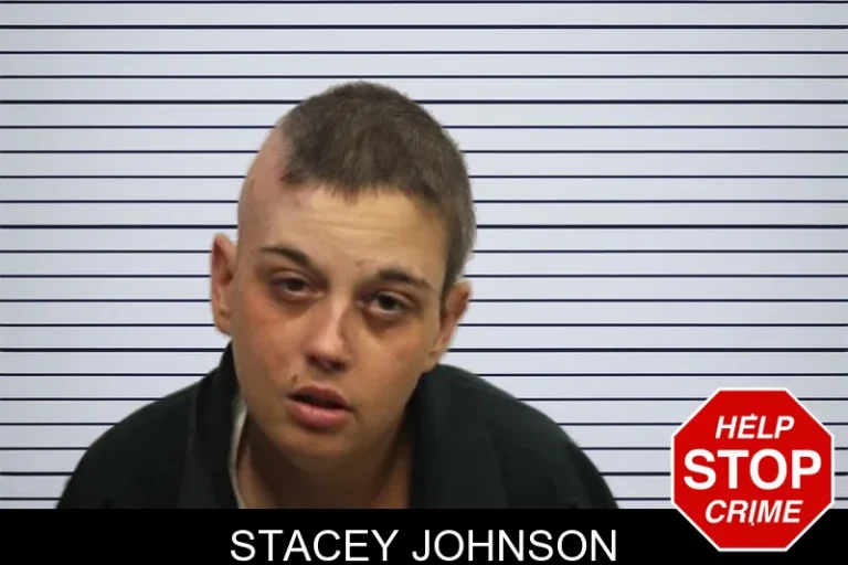 Stacey Johnson mugshot – Chatham County , Georgia Stacey Johnson