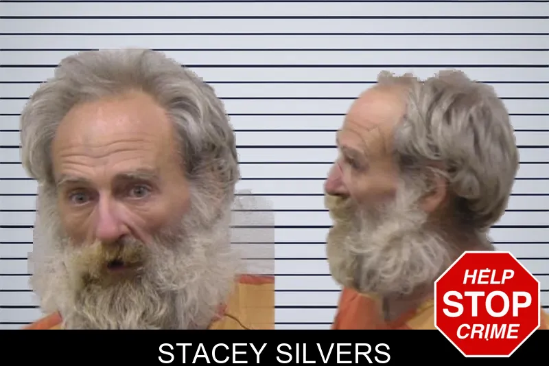 Stacey Silvers mugshot