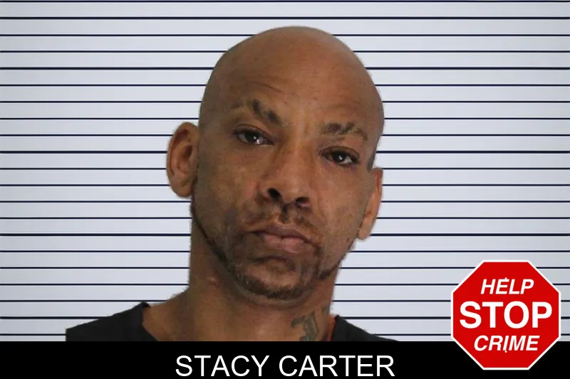 Stacy Carter mugshot – Carroll County , Georgia Stacy Carter mugshot
