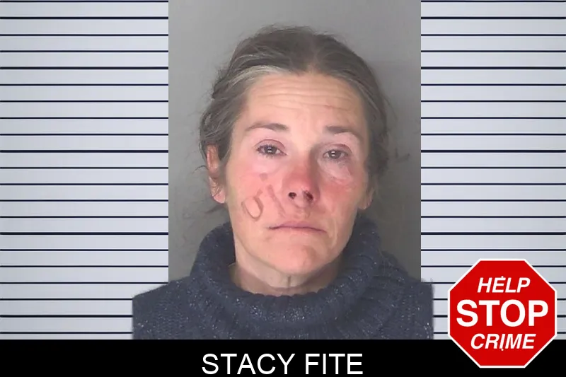 Stacy Fite Mugshots