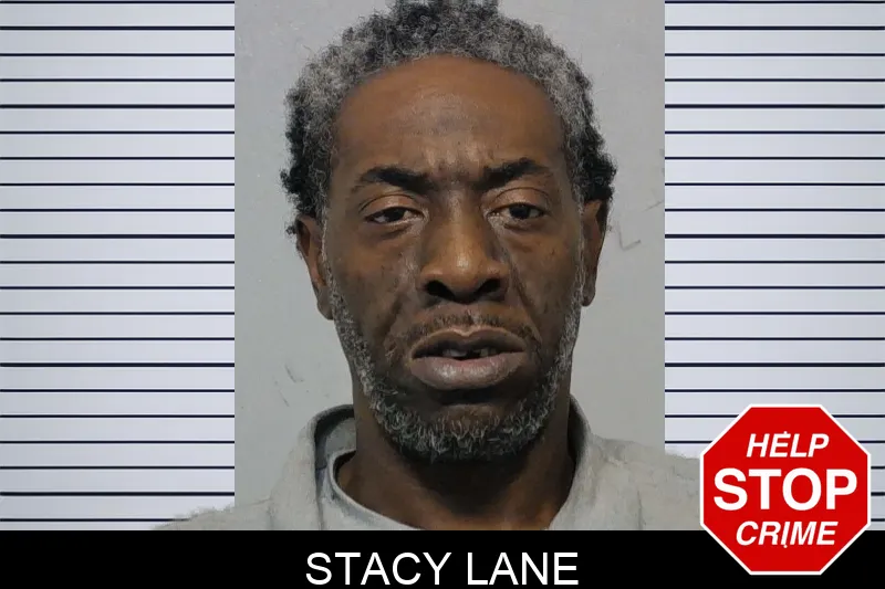 Stacy Lane mugshot – Bibb County , Georgia Stacy Lane mugshot