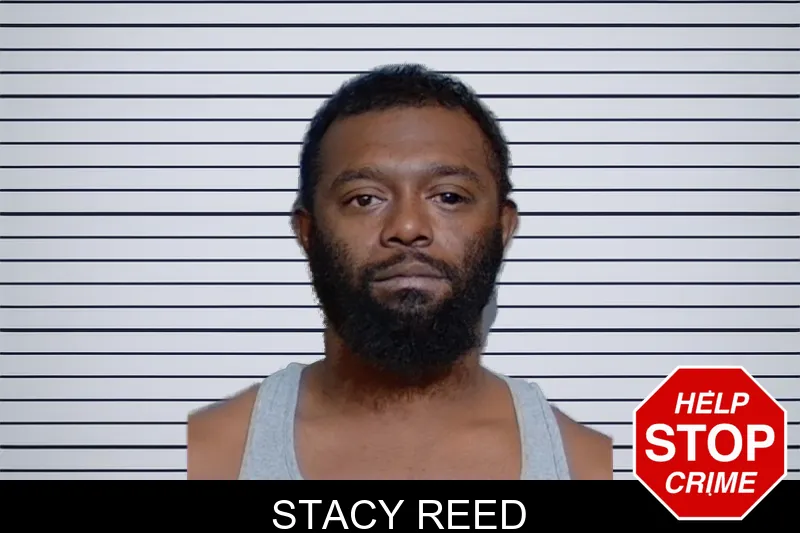 Stacy Reed Mugshots