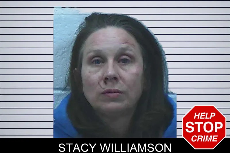 Stacy Williamson mugshot