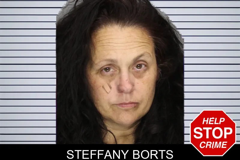 Steffany Borts mugshot – Cobb County , Georgia Steffany Borts mugshot