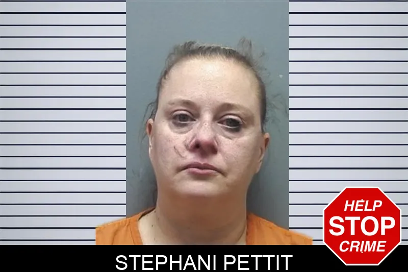 Stephani Pettit mugshot