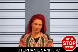 Stephanie Sanford mugshot