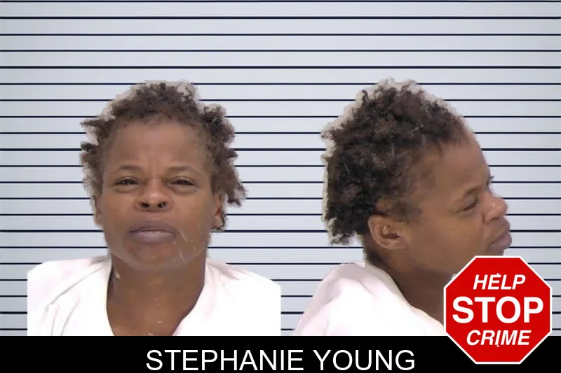 Stephanie Young Mugshots