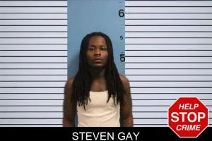 Steven Gay mugshot