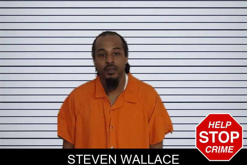 Steven Wallace mugshot