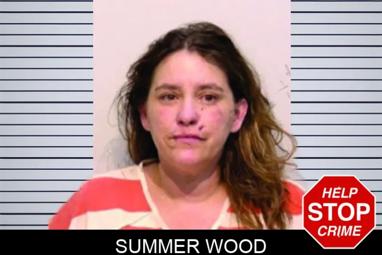Summer Wood mugshot – Bartow County , Georgia Summer Wood