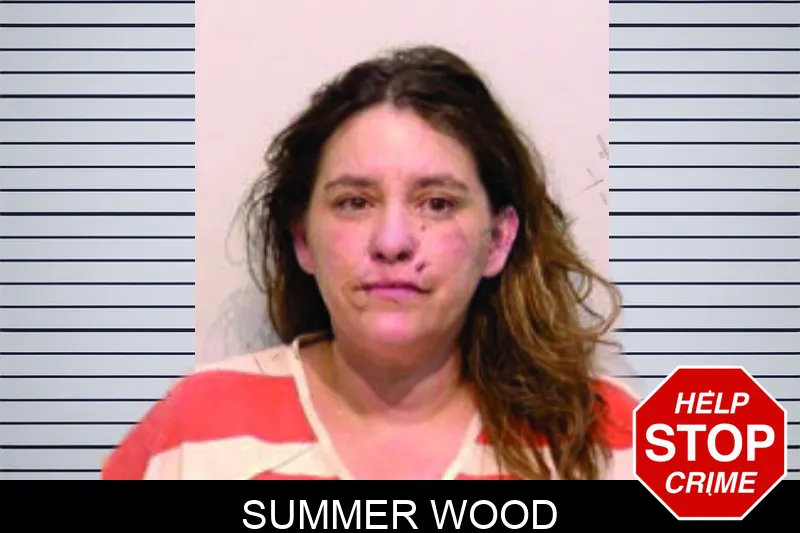 Summer Wood Mugshots