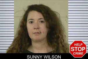 Sunny Wilson mugshot