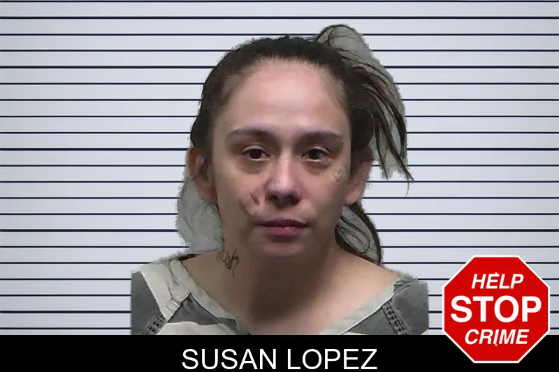 Susan Lopez Mugshots