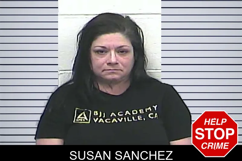 Susan Sanchez Mugshots