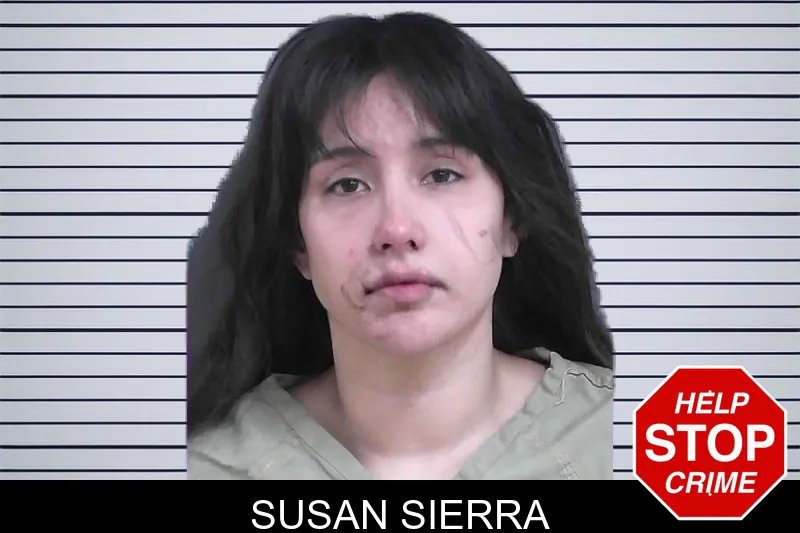 Susan Sierra mugshot