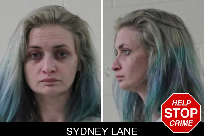 Sydney Lane Mugshots