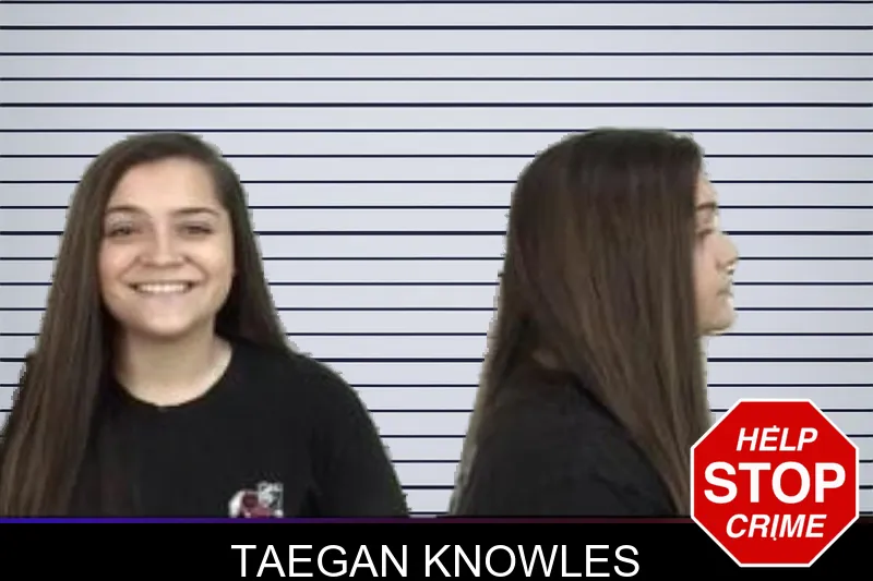 Taegan Knowles mugshot – Camden County , Georgia Taegan Knowles mugshot