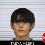 Taeya Meeks mugshot