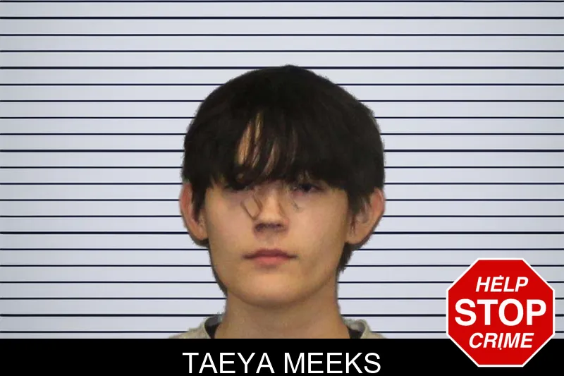 Taeya Meeks mugshot