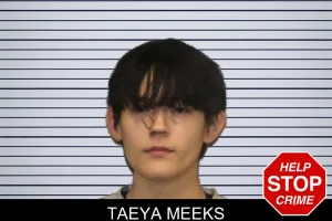 Taeya Meeks mugshot