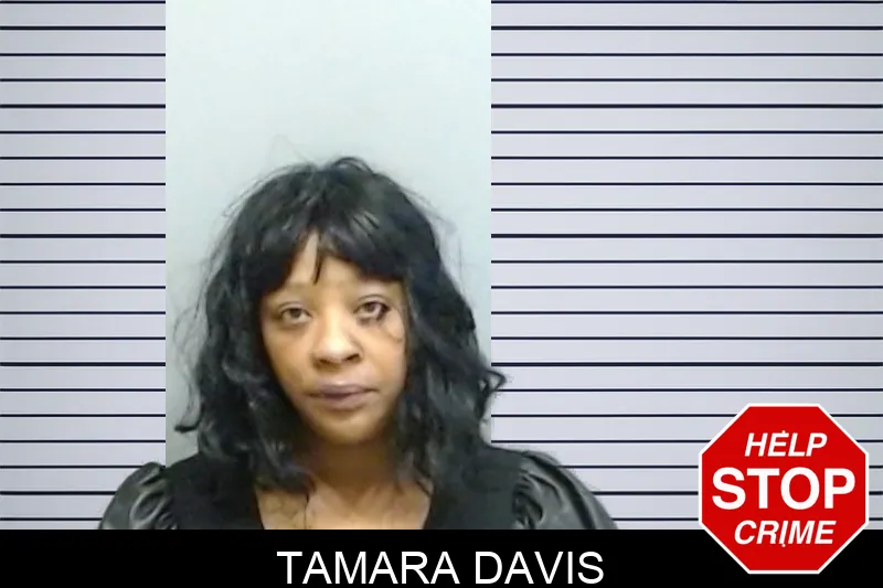 Tamara Davis Mugshots
