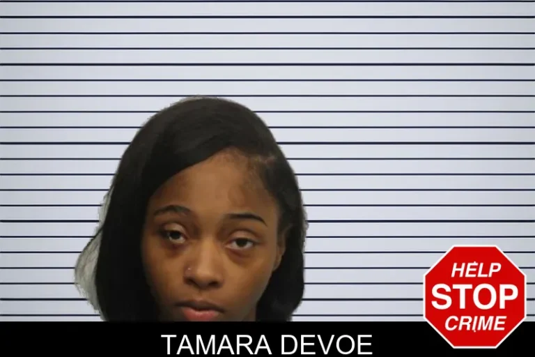 Tamara Devoe mugshot – Chatham County , Georgia Tamara Devoe
