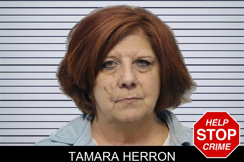 Tamara Herron Mugshots