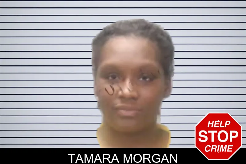 Tamara Morgan mugshot